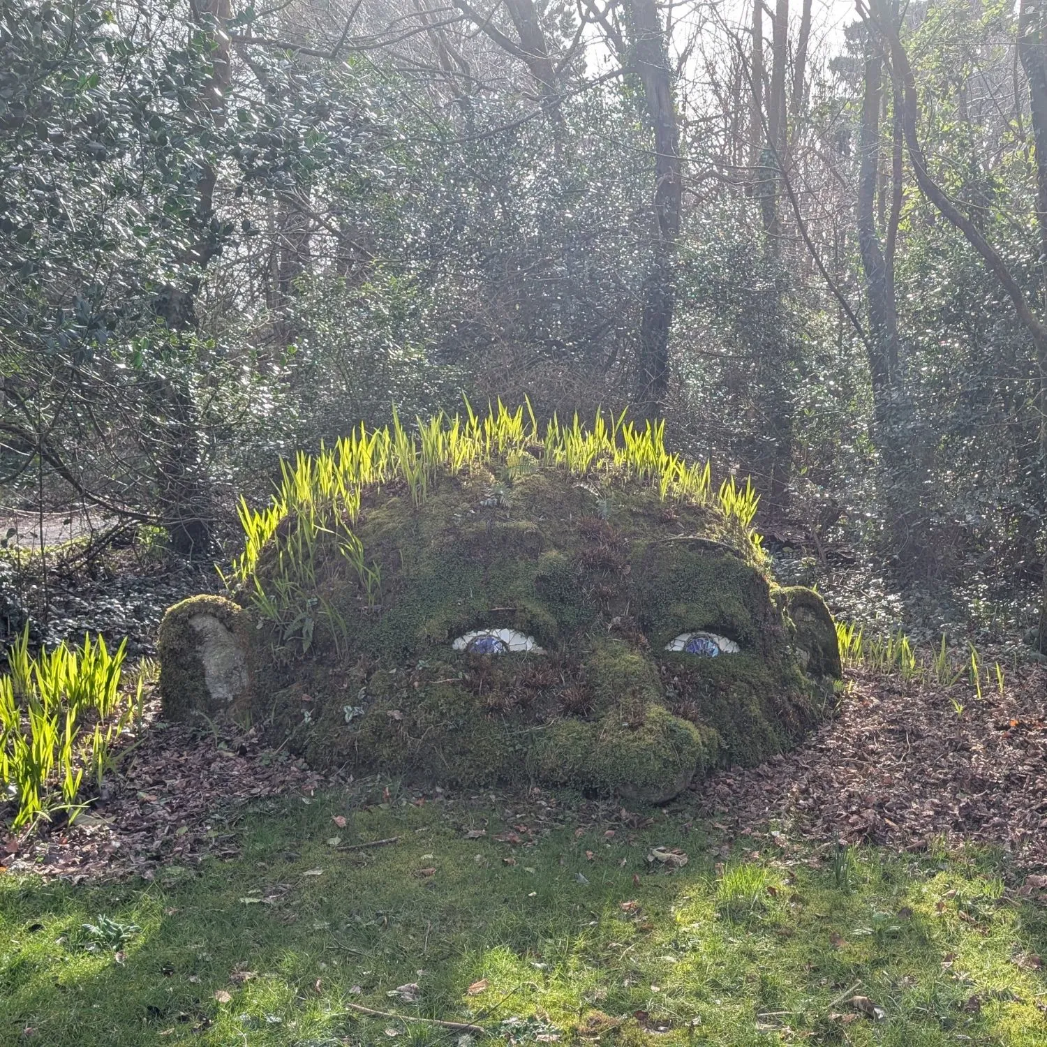 Lost Gardens of Heligan, 45 min from Trewena