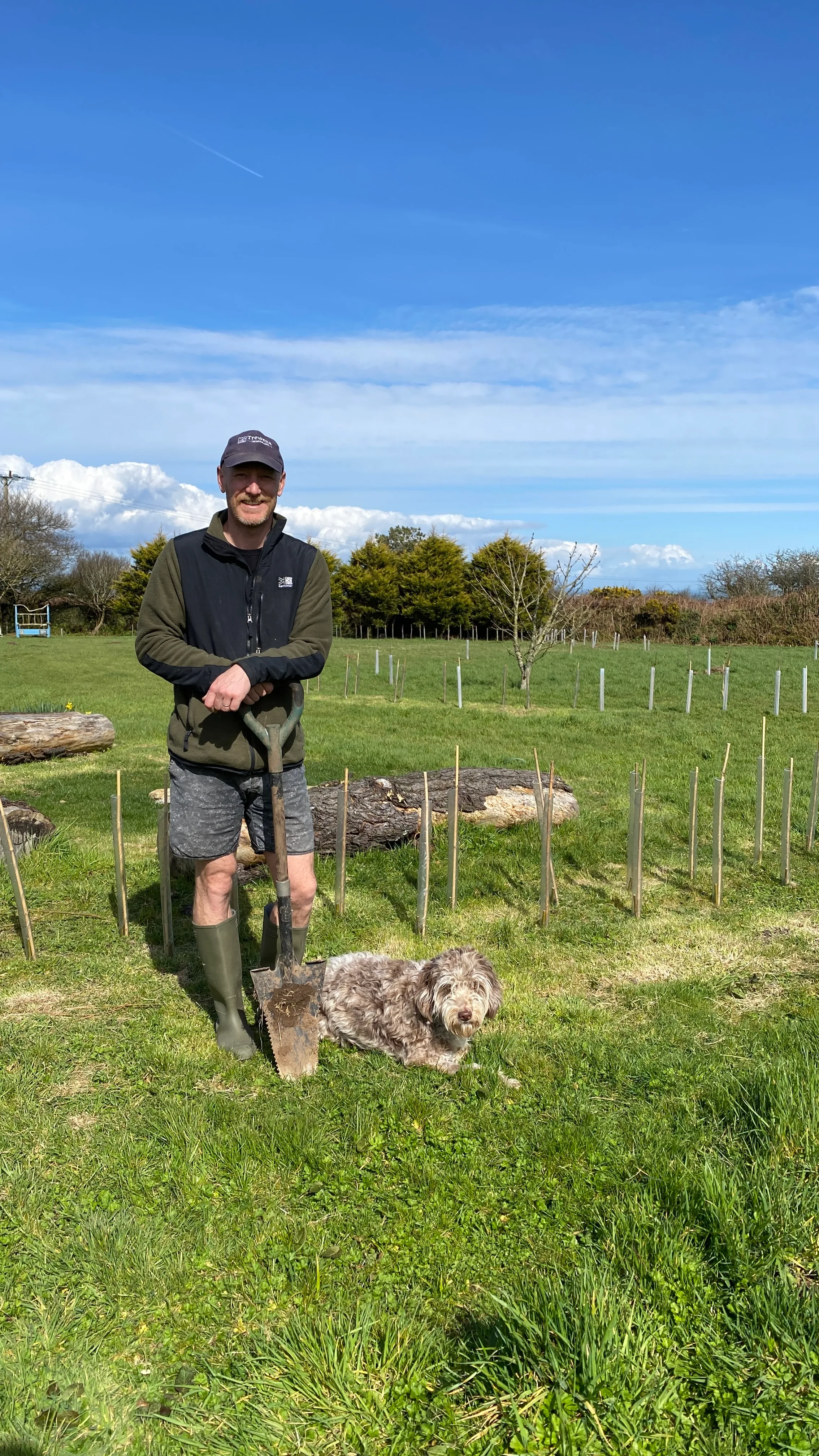 Planting trees in the orchard.
