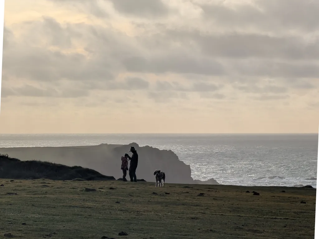 The South West Coast Path along the Cornish cliffs, sea on one side, gorse and grass on the other.
