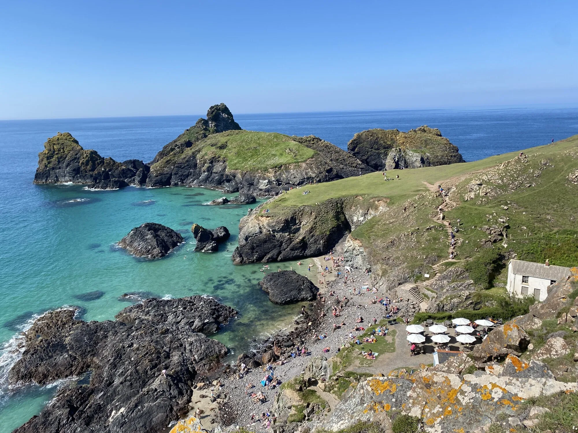 Kynance Cove on Cornwall's Lizard Peninsula on a clear summer day, with turquoise water, dramatic dark serpentine sea stacks rising from the bay, white sand visible at low tide, the small whitewashed Kynance Beach Cafe by the steps, and visitors on the path down to the cove.