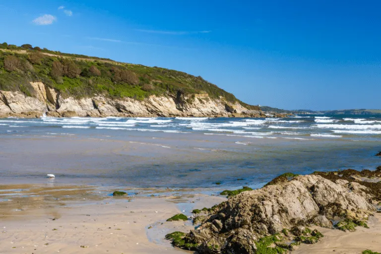 Maenporth Beach on a calm sunny day, a wide arc of golden sand backed by rocky outcrops, with low headlands either side and clear blue sky.