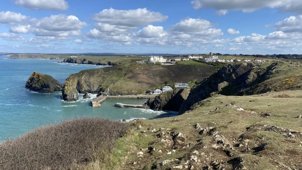 A coastal view across the Lizard Peninsula's south coast in late spring, with sea thrift in pink flower in the foreground and turquoise water washing into a small cove below.