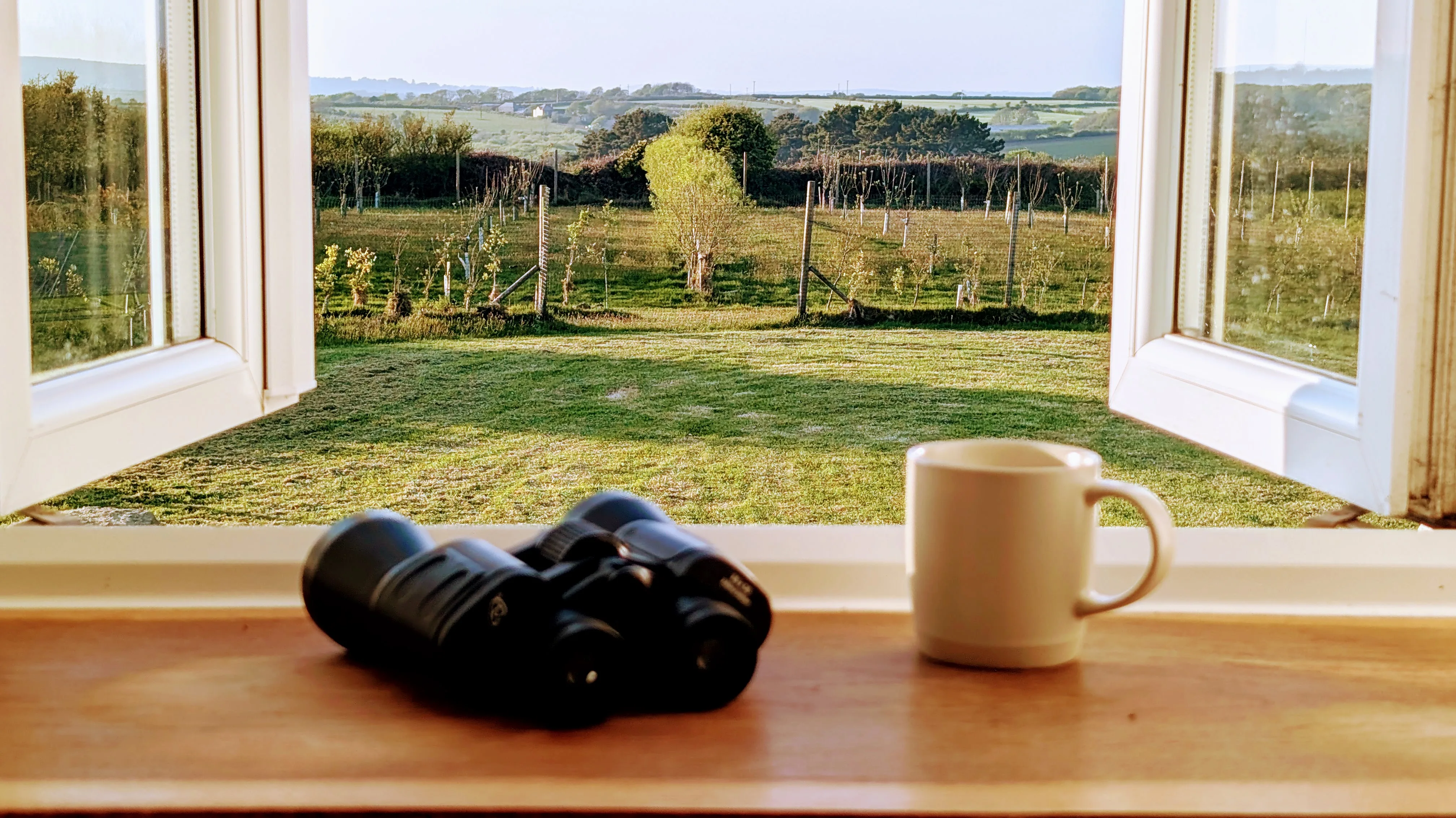 View from the Pigsty's upstairs nook out across the orchard, binoculars and mug on the sill.