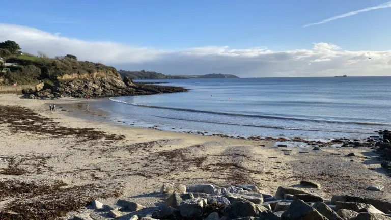 A small sandy cove on Falmouth's south coast on a clear winter day, with calm water curving round to a headland in the distance, low cliff and vegetation on the left, and rocks in the foreground.