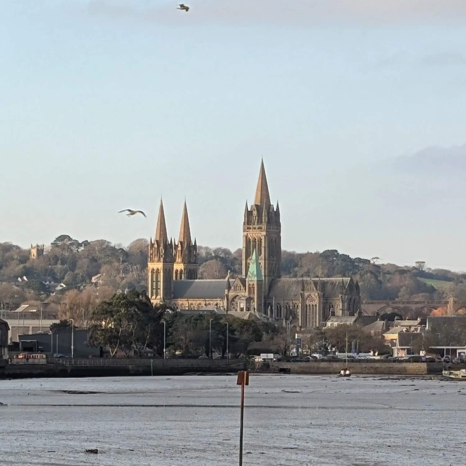 Truro, 20 min from Trewena