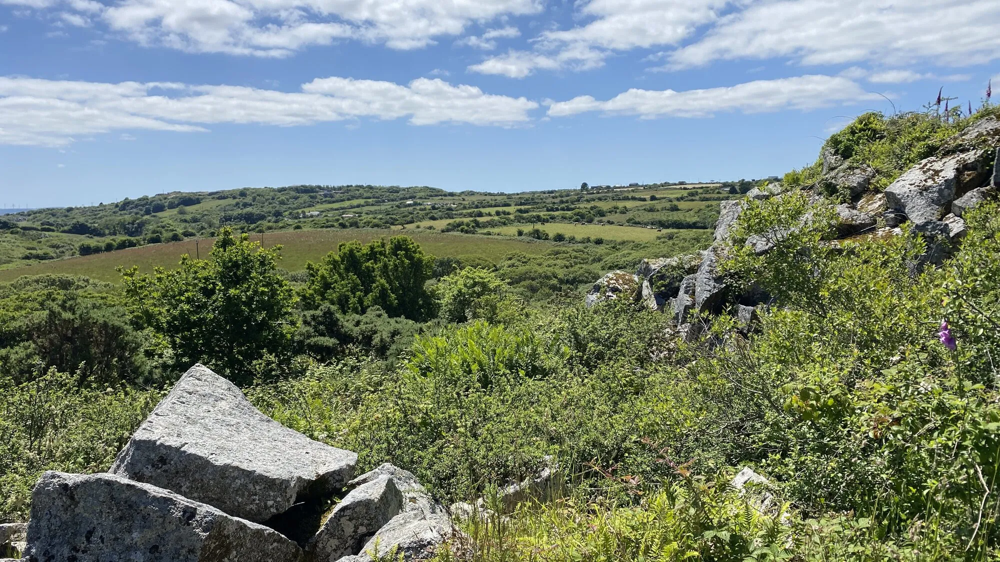 A view across the rolling green farmland and Cornish hedges of Mabe Parish on a sunny day, with granite outcrops in the foreground and grazing cattle in the distance.