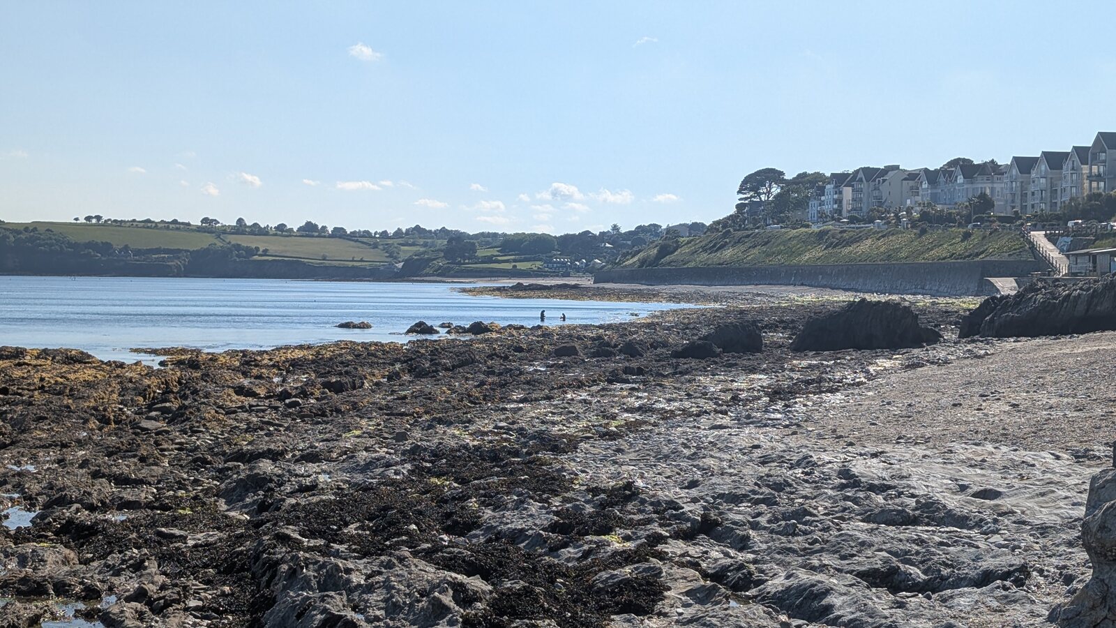 Castle Beach in Falmouth at low tide, with extensive rockpools in the foreground, calm water beyond, and the seafront apartments and harbour wall on the right under a clear blue sky.