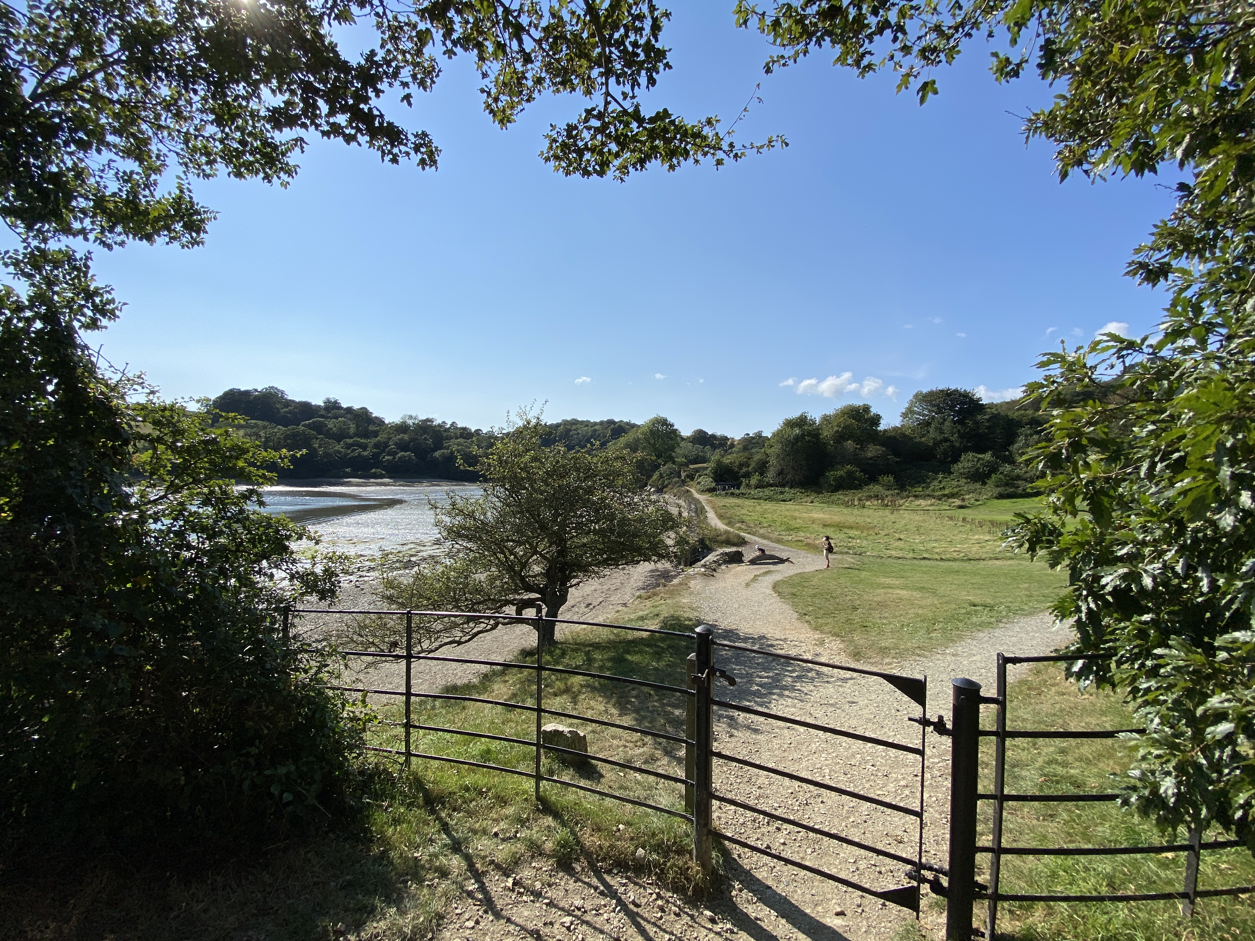 Trelissick beach viewed from the woodland path, looking through a five-bar gate towards the water.