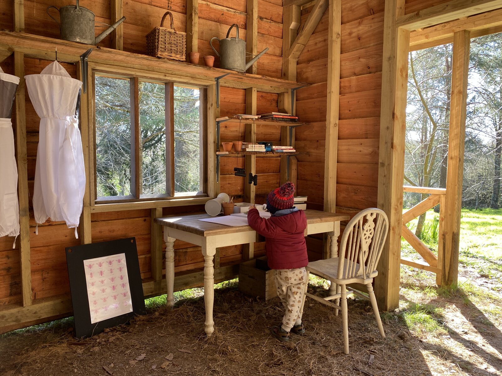A small child in a red bobble hat at a wooden desk inside the Glendurgan Garden learning hut, with watering cans on shelves, a hanging white smock, and the open hut door letting in spring light.