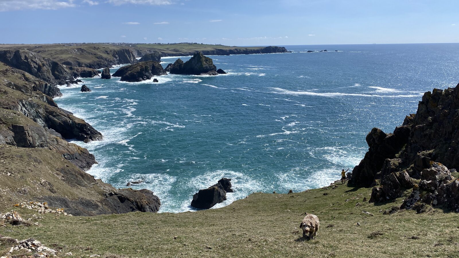 A small secluded cove on the Lizard western cliffs, with turquoise water, dark serpentine rocks and white surf. A perfect lunch spot.