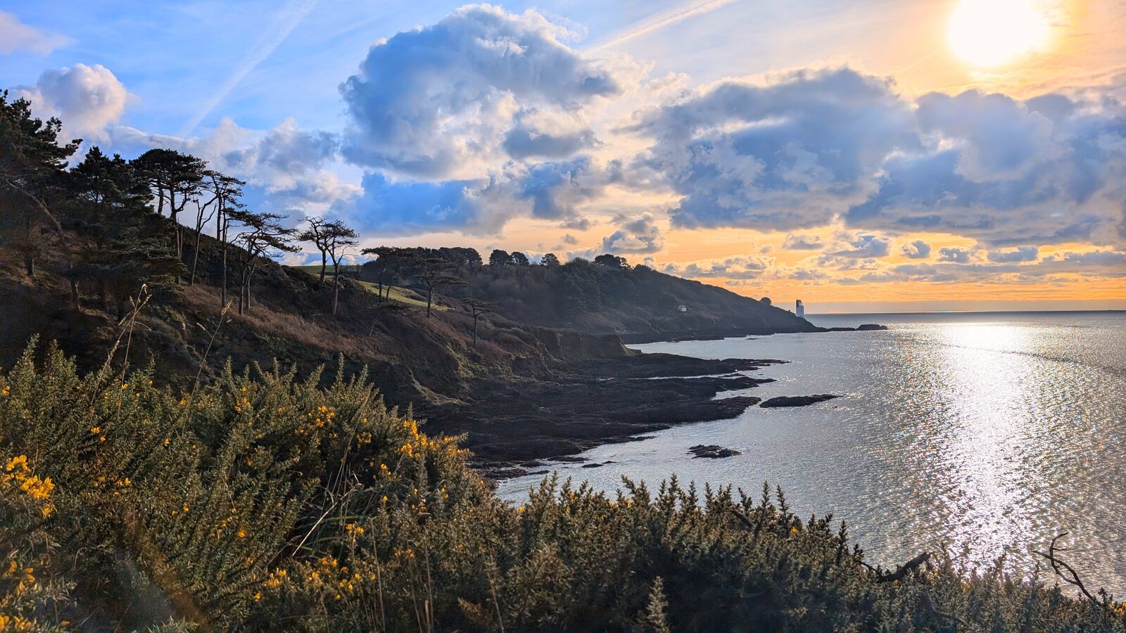 A golden sunset over the entrance to the Fal estuary near Falmouth, with cloud-streaked sky, a wooded headland silhouetted on the left, yellow gorse in flower, and the small white tower of St Anthonys Lighthouse on the distant Roseland headland.