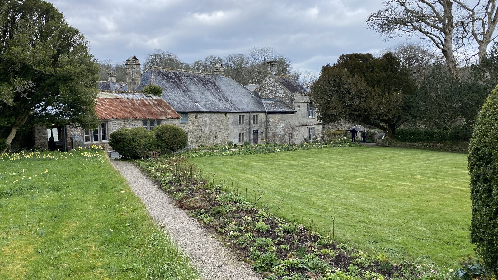The Tudor stone manor house and walled gardens at Godolphin Estate near Helston, with daffodils flowering in the foreground and a corrugated-roofed historic farm building beside the main house.