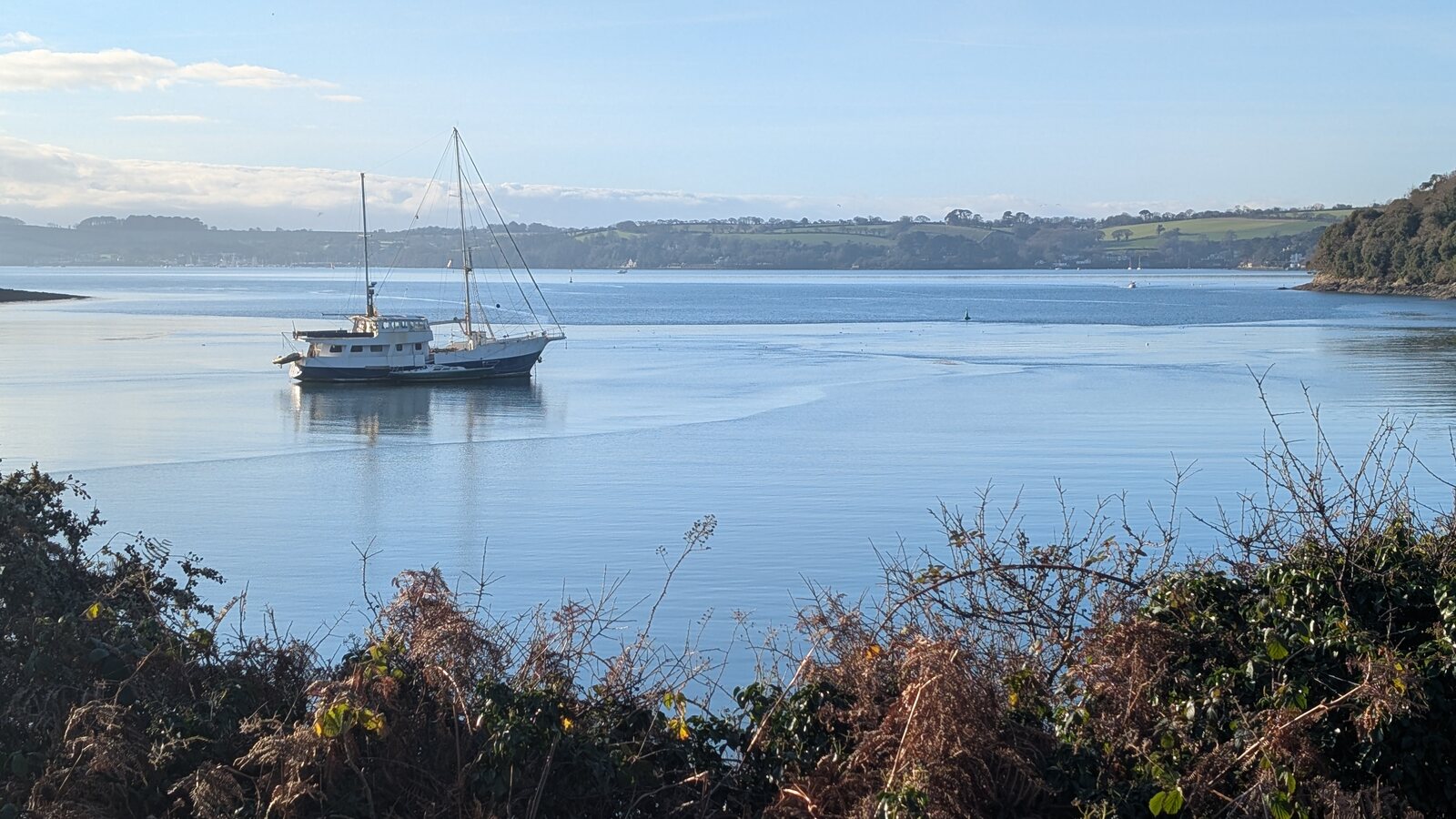 A wooden sailing yacht moored on the still waters of the Fal estuary in front of the wooded shoreline at Trelissick.