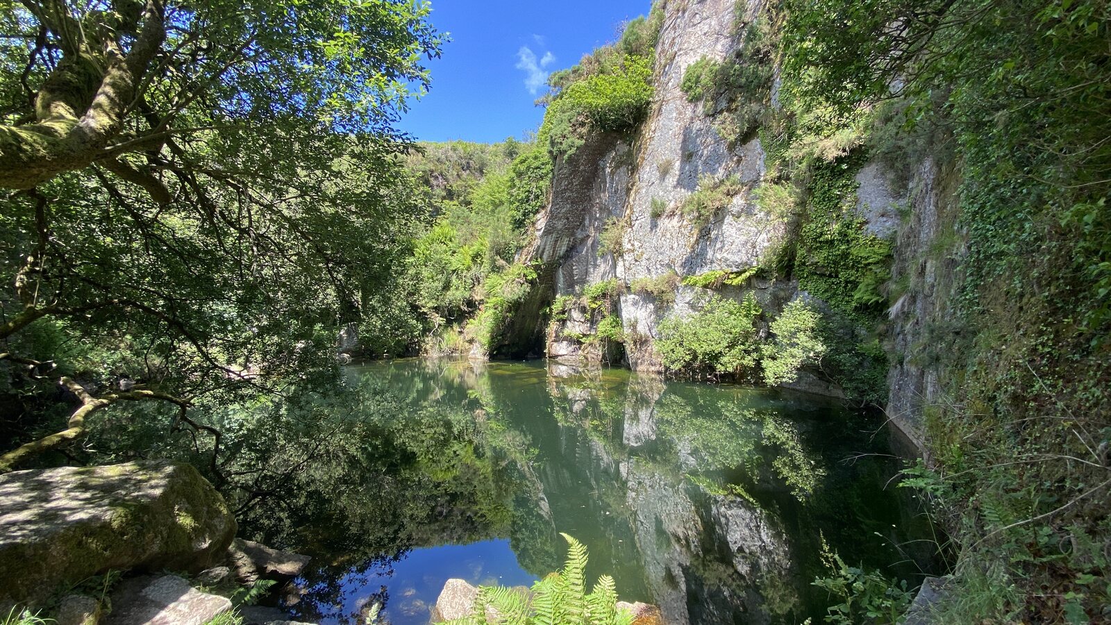 Mirror-still water in a flooded former granite quarry near Mabe, with mossy granite cliffs reflected in the surface and ferns growing from the rocks.