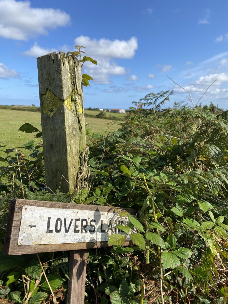 A rustic looking 'Lovers Lane' sign in a hedgerow near Mabe