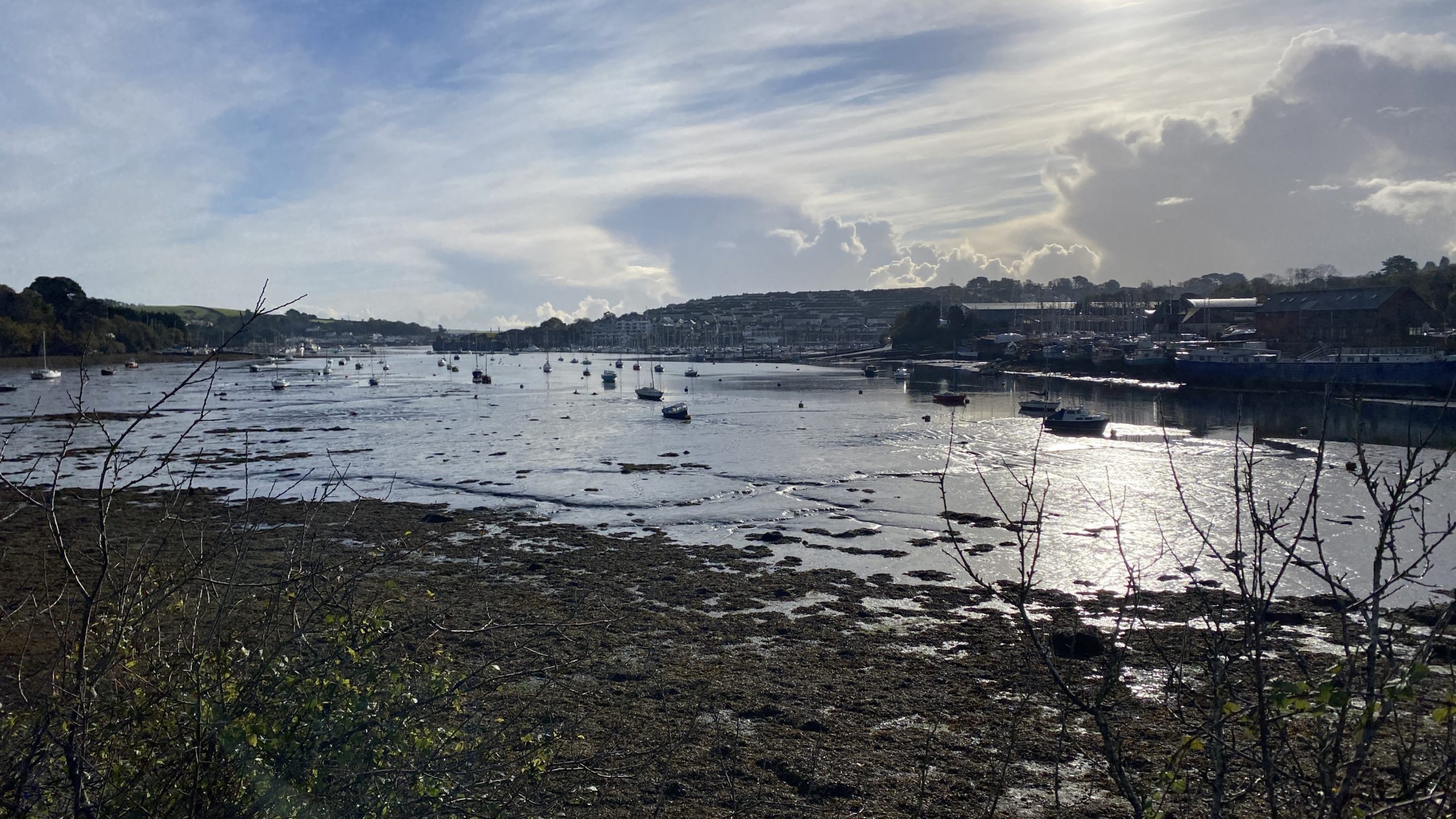 Things to do in Falmouth, the ultimate guide