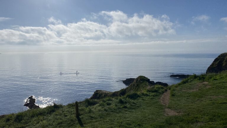 2 people on paddleboards paddle along the coast near falmouth on a summer's day