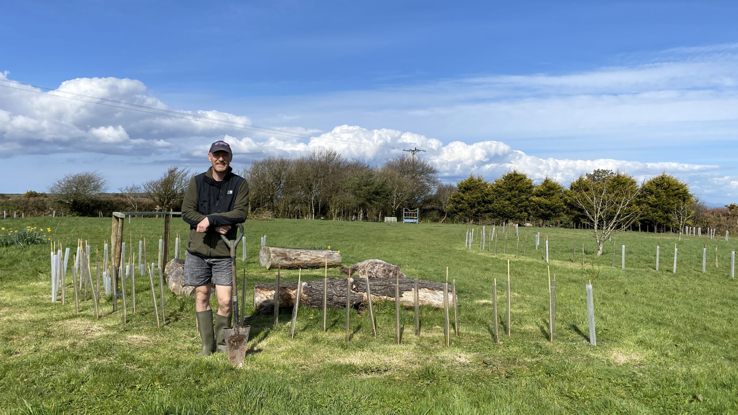 Sustainable tourism in Cornwall: Our mission to plant 1,000 tress