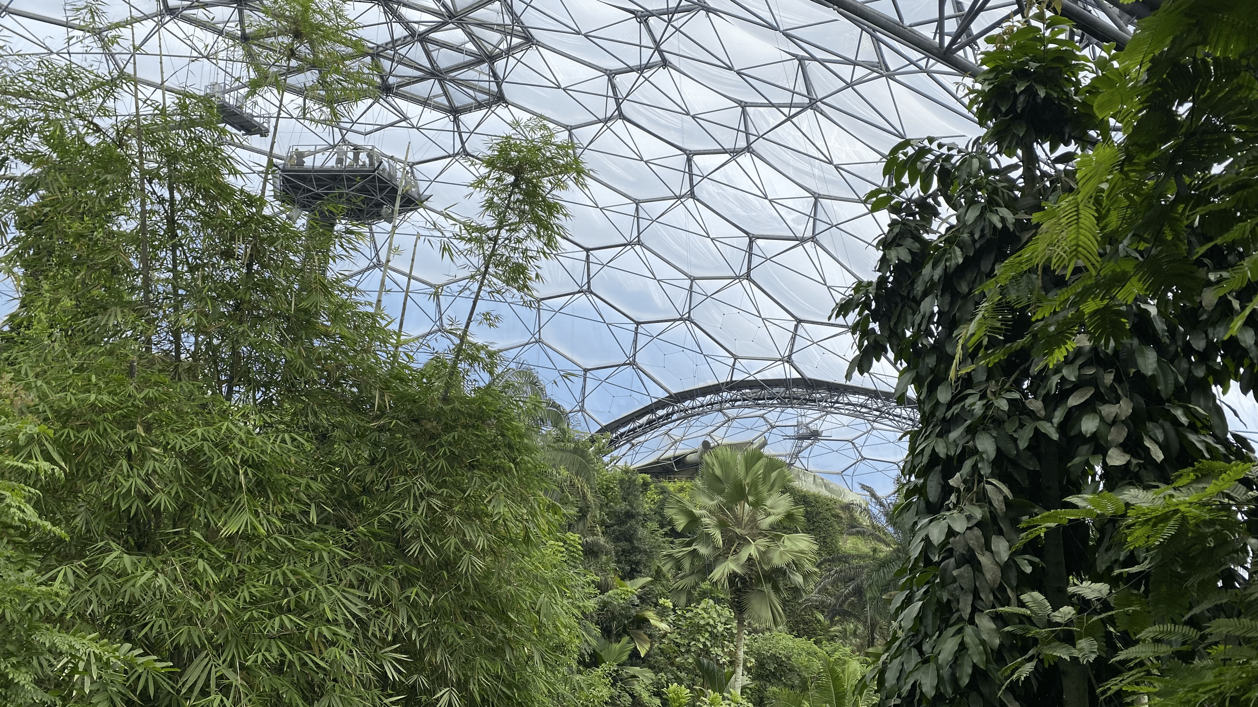 The Eden Project: A journey through the world's largest indoor