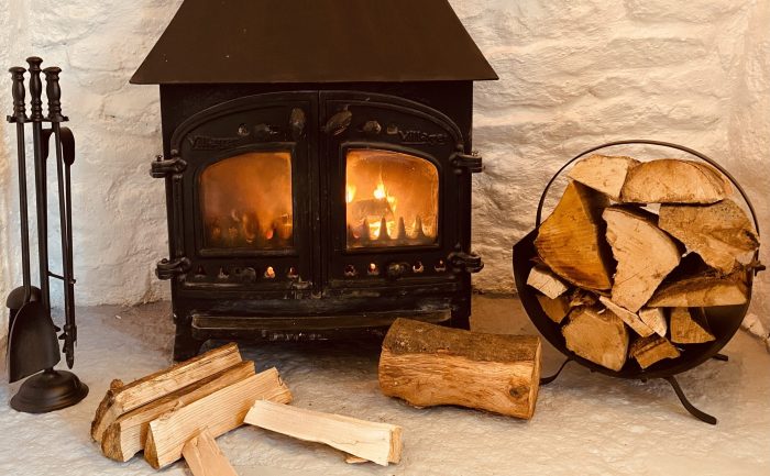 Log burner with a roaring fire and logs ready to burn