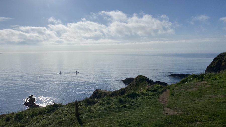 2 people on paddleboards paddle along the coast near falmouth on a summer's day